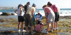 Banner image for Rockpool Ramble at South Maroubra