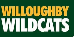 Willoughby Wildcats Junior AFL's banner