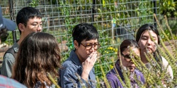 Banner image for UQ Herston Community Gardens Workshop - Sem 1 Connect Week