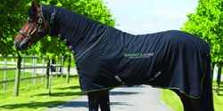 Banner image for Equestricare Equine Sports Therapy Information Session