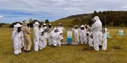 Banner image for Tasmanian Junior Beekeepers January Session