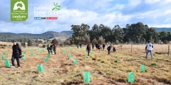 Banner image for Community Planting Day - National Tree Day - Bowning Public School