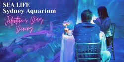 Banner image for Valentine's Day Dining at SEA LIFE Sydney Aquarium