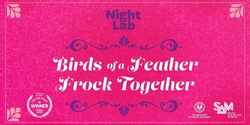 Banner image for Night Lab: Birds of a feather (frock together!)