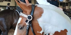 Banner image for June Aussie Obstacles & Horsemanship Mini Challenge