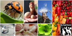 Banner image for Organic Vegetable Growing and Free-Range Poultry.  One-day workshop