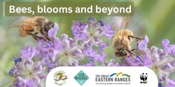 Banner image for Introduction to beekeeping & sustainable management of honeybees