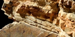 Banner image for National Science Week - Unconformity Geology Tours  