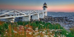 Banner image for Lupines & Lighthouses
