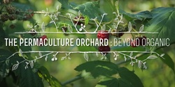 Banner image for World Permaculture Day - Forest Gardens Film