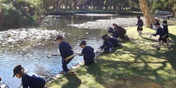Banner image for Professional Development: Science Outdoors (Primary K-6) 2023