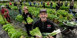 Banner image for Visit to FareShare Charity Kitchen Gardens
