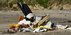 Banner image for Remix Beach Clean and Plastic Discussion