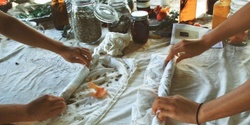 Banner image for NAIDOC Week 2023: Eco-dyeing and bush tucker workshop - afternoon session - WAITLIST AVAILABLE