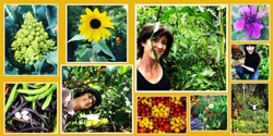 Banner image for Garden Ramble