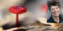 Banner image for Fungi and fire - presented by Alison Pouliot