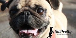 Banner image for June Beginner Obedience Class in West Roxbury