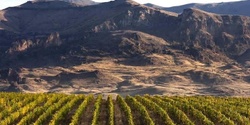 Banner image for Geography & Wine: Armenia