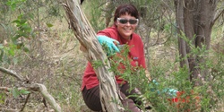 Banner image for Come and Try Bushcare - Tea Tree Gully