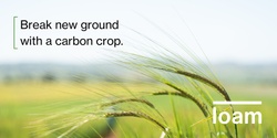 Banner image for Collarenebri - Carbon farming: separating fact from fiction.