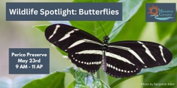Banner image for Wildlife Spotlight: Butterflies