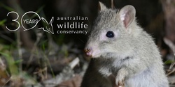 Banner image for Gecko Talks May: Practical conservation – What needs to be done to save our native wildlife