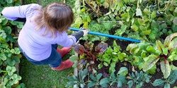 Banner image for Sustainable Gardening