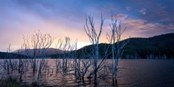 Banner image for Nature Spirit Soundscape Kayak Experience | Waterlines at Hinze Dam