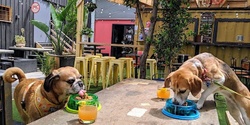 Banner image for Footscray Puppy Pub Crawl