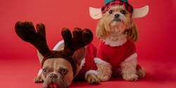 Banner image for Gasworks Plaza Christmas Pet Photography