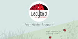 Banner image for Queensland Information Session:  Ladybird Care Peer Mentor Program for bereaved parents 