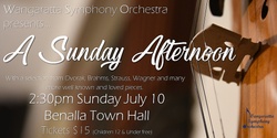 Banner image for A Sunday Afternoon with the Wangaratta Symphony Orchestra