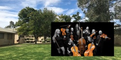 Banner image for Music at the Museum
