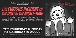 Banner image for The Curious Incident of the Dog in the Night-Time