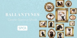 Banner image for Canine Glamour Shoot