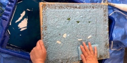 Banner image for KidsFest - New Brighton - Paper Making - 7-12 years - H2T