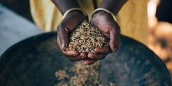 Banner image for Grain Ferments: drink your bread and eat it too