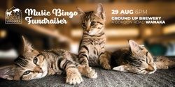 Banner image for Music Bingo Fundraiser - Cat Rescue Wanaka
