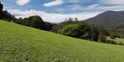 Banner image for Paddock Planting on the Plateau