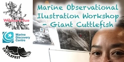 Banner image for Marine Observational Illustration Workshop - Giant Cuttlefish