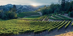 Banner image for Californian Wines: A Masterclass [NSW]