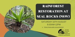 Banner image for Rainforest Restoration at Seal Rocks