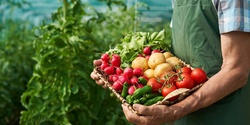 Banner image for Introduction to Organic Gardening
