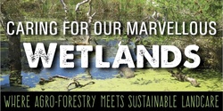 Banner image for Caring for our Marvellous Wetlands!