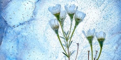 Banner image for The Gifts of Winter - A Yoga workshop for the Winter Solstice