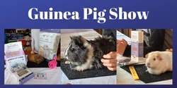 Banner image for Guinea Pig Show 