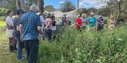 Banner image for Boosting Your Respiratory and Immune System with Herbalist Pat Collins - FREE COMMUNITY WORKSHOP for Wollombi Valley, Laguna, Bucketty and Districts Residents