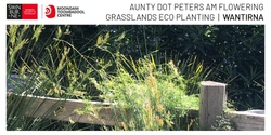 Banner image for Aunty Dot Peters AM Flowering Grasslands Eco Planting Session - Wantirna