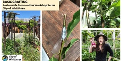 Banner image for Basic Grafting - City of Whittlesea's Sustainable Communities Workshop Series 2024