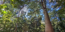 Banner image for Teacher Professional Development: Trail Day in the Adelaide Botanic Garden